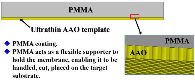 PMMA֧AAOʾͼ