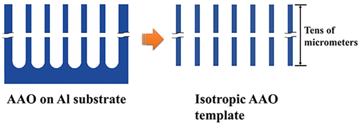 Isotropic AAO templates Product description Isotropic AAO templates Product description